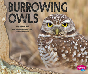 Burrowing Owls,Used