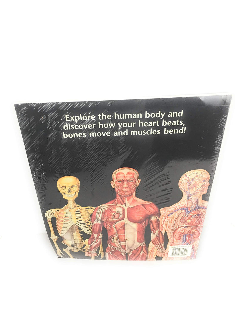 The World'S Best Anatomical Charts : A Collection Of 37 Medical School Quality Human Anatomy Charts In A Handy Desksized Format,Used
