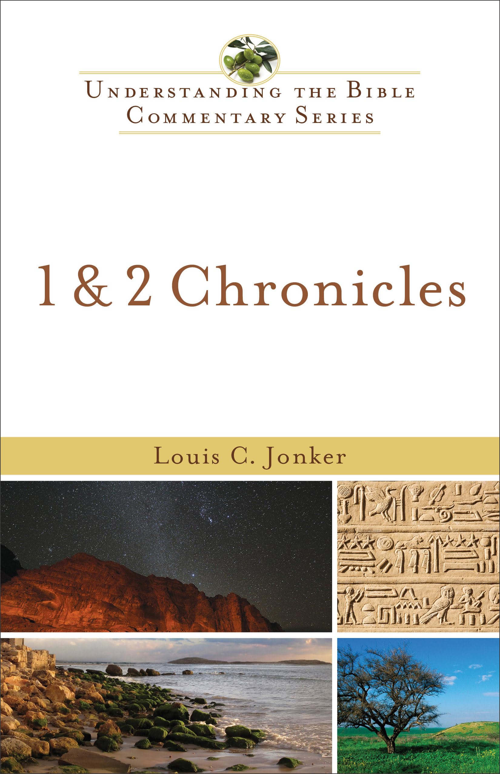 1 & 2 Chronicles (Understanding The Bible Commentary Series),New