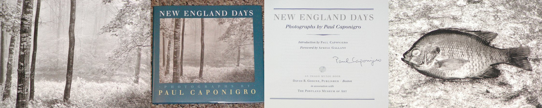 New England Days (An Imago Mundi Book),Used