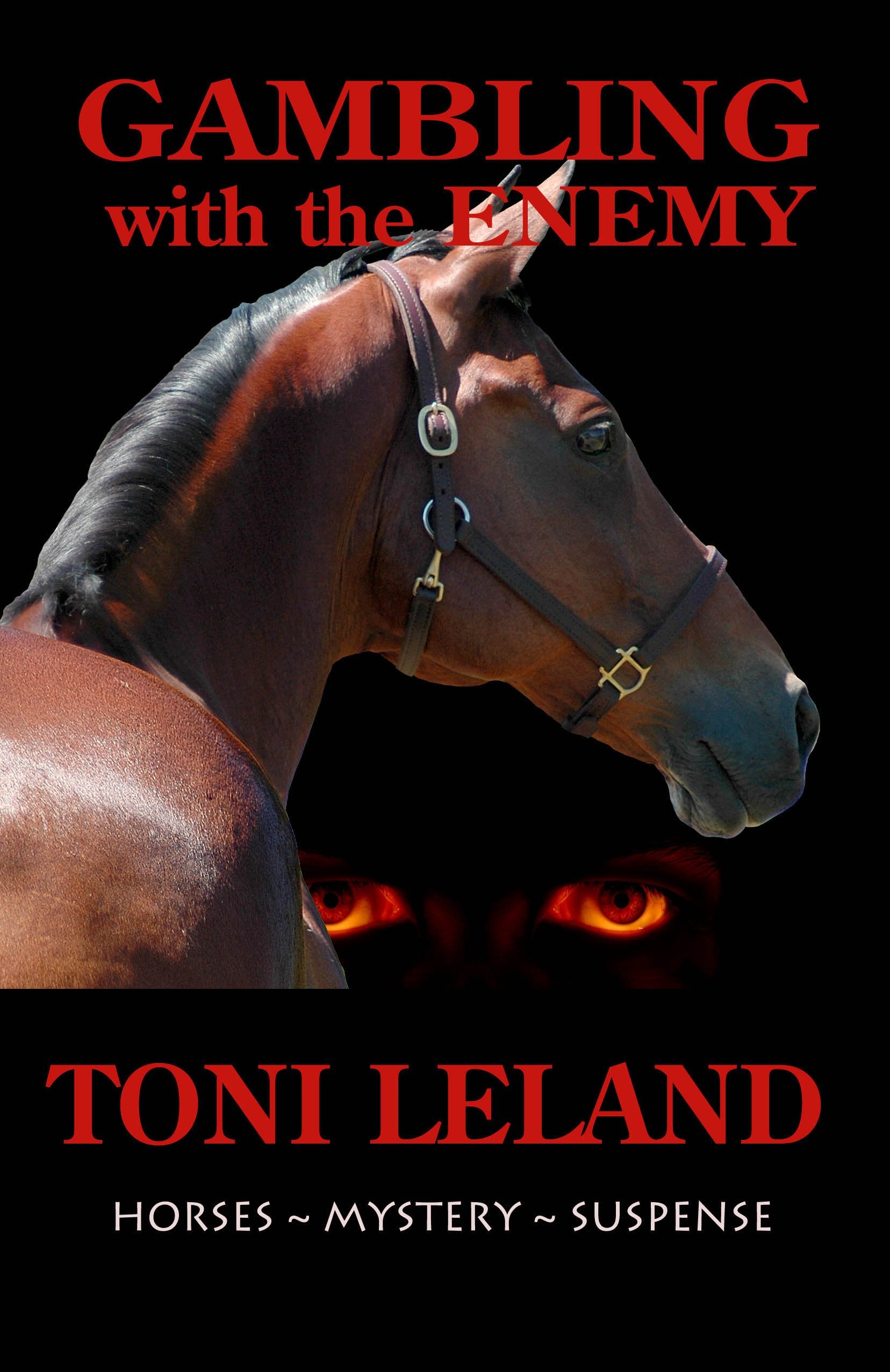 Gambling with the Enemy: an equestrian thriller,Used