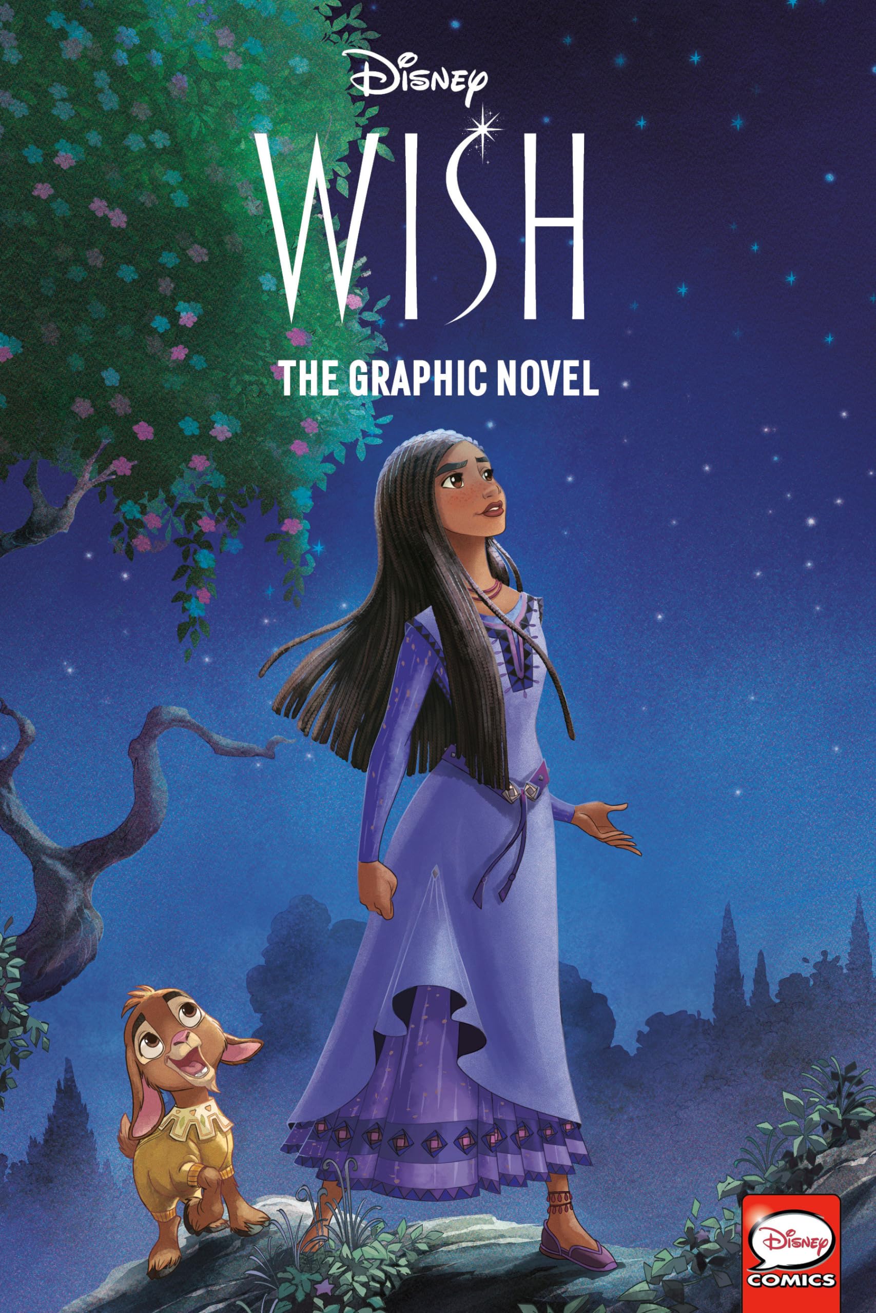 Disney Wish: The Graphic Novel,New