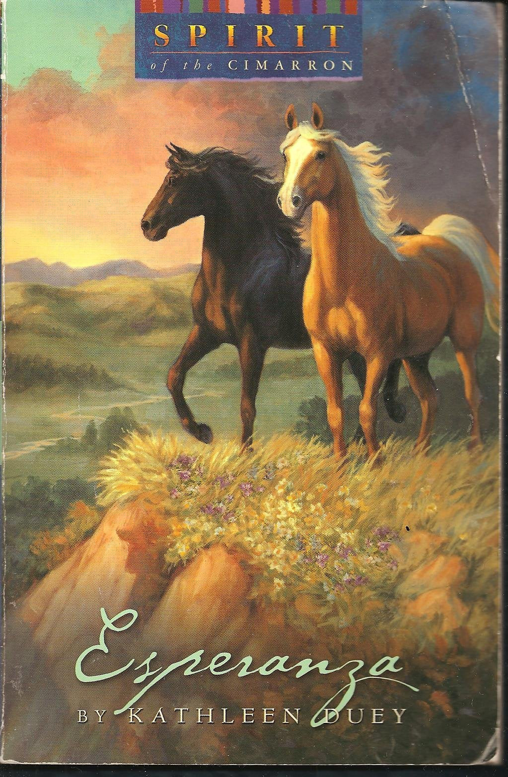 Esperanza (Spirit of the Cimarron),Used