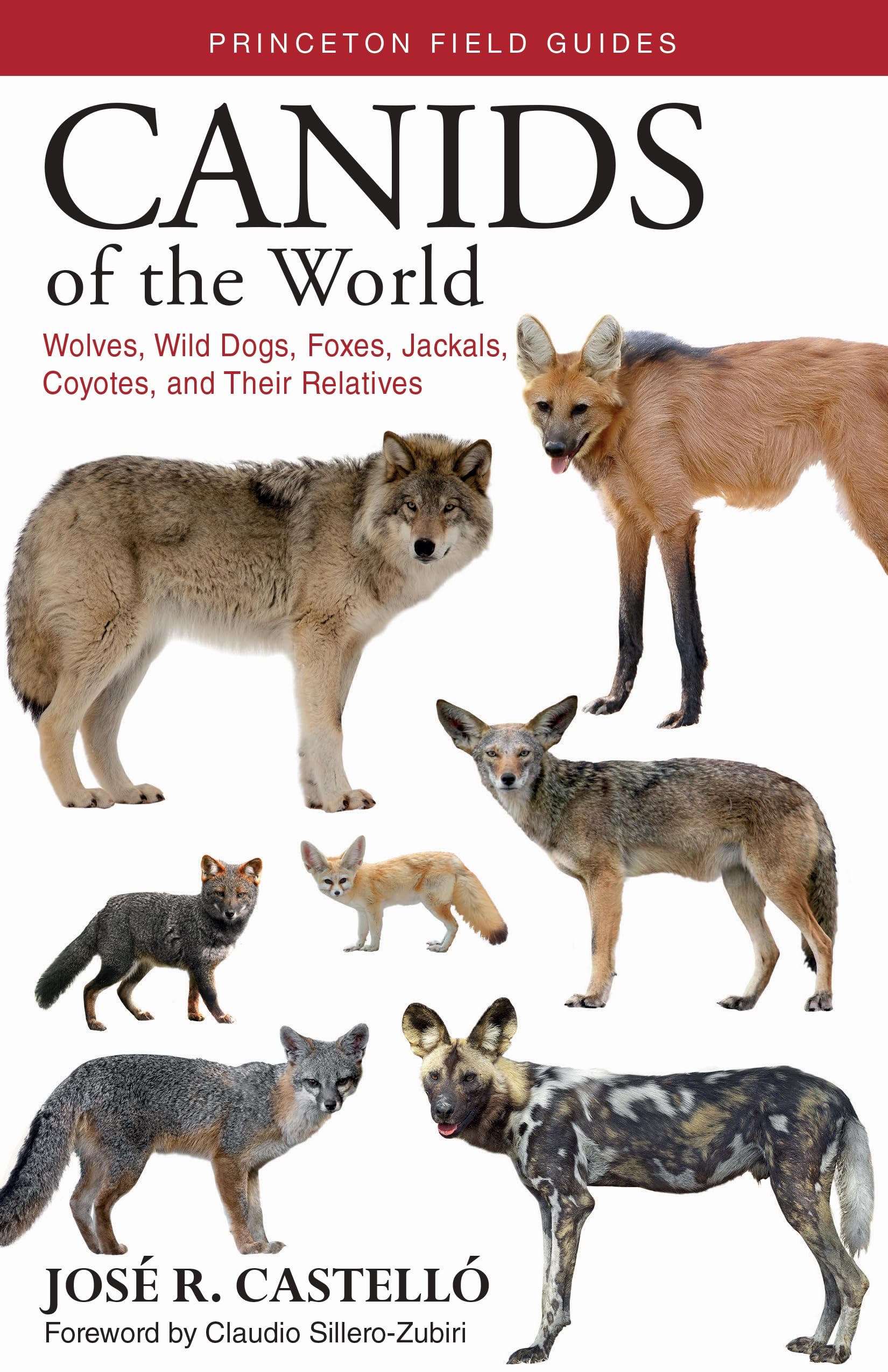 Canids of the World: Wolves, Wild Dogs, Foxes, Jackals, Coyotes, and Their Relatives (Princeton Field Guides),Used