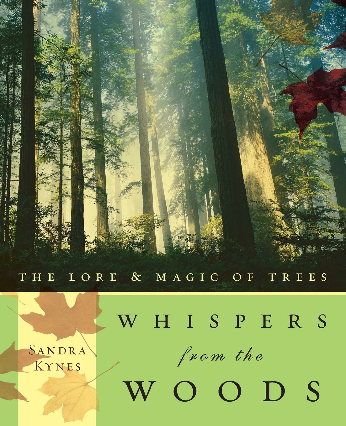 Whispers From The Woods: The Lore & Magic Of Trees,Used