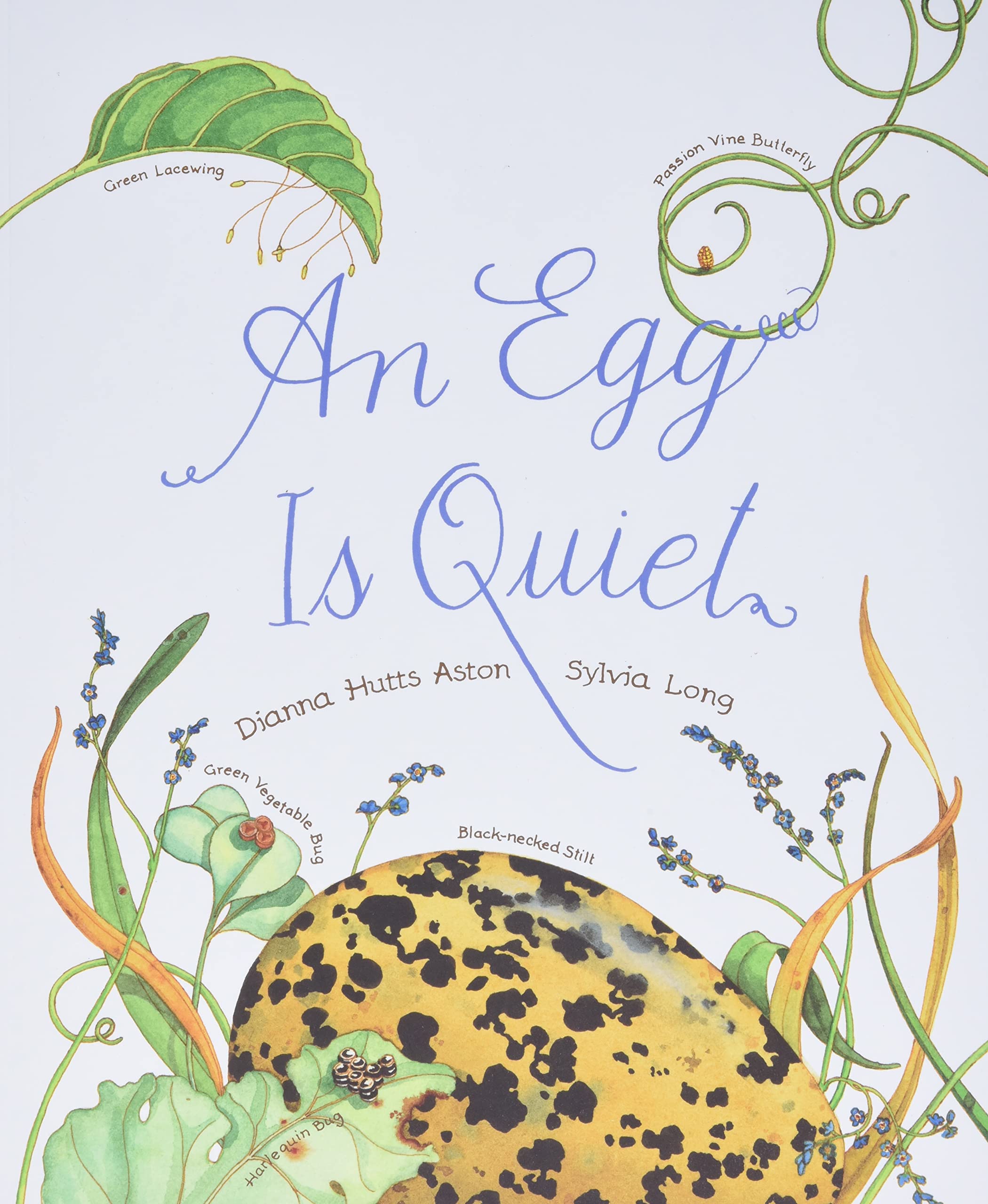 An Egg Is Quiet: (Picture Book, Kids Book About Eggs) (Sylvia Long)