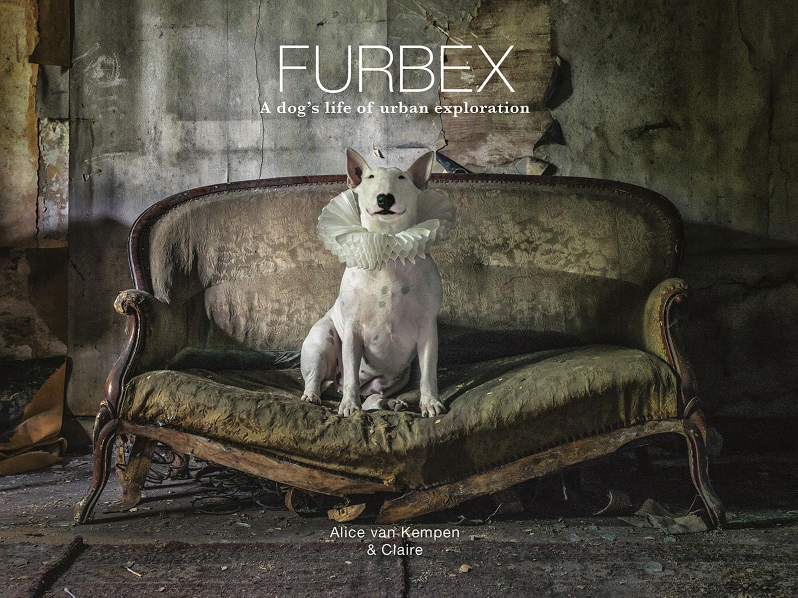 Furbex: A Dogs Life of Urban Exploration,Used