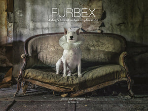 Furbex: A Dogs Life of Urban Exploration,Used
