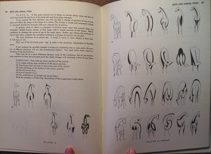 Design for Artist and Craftsmen,Used