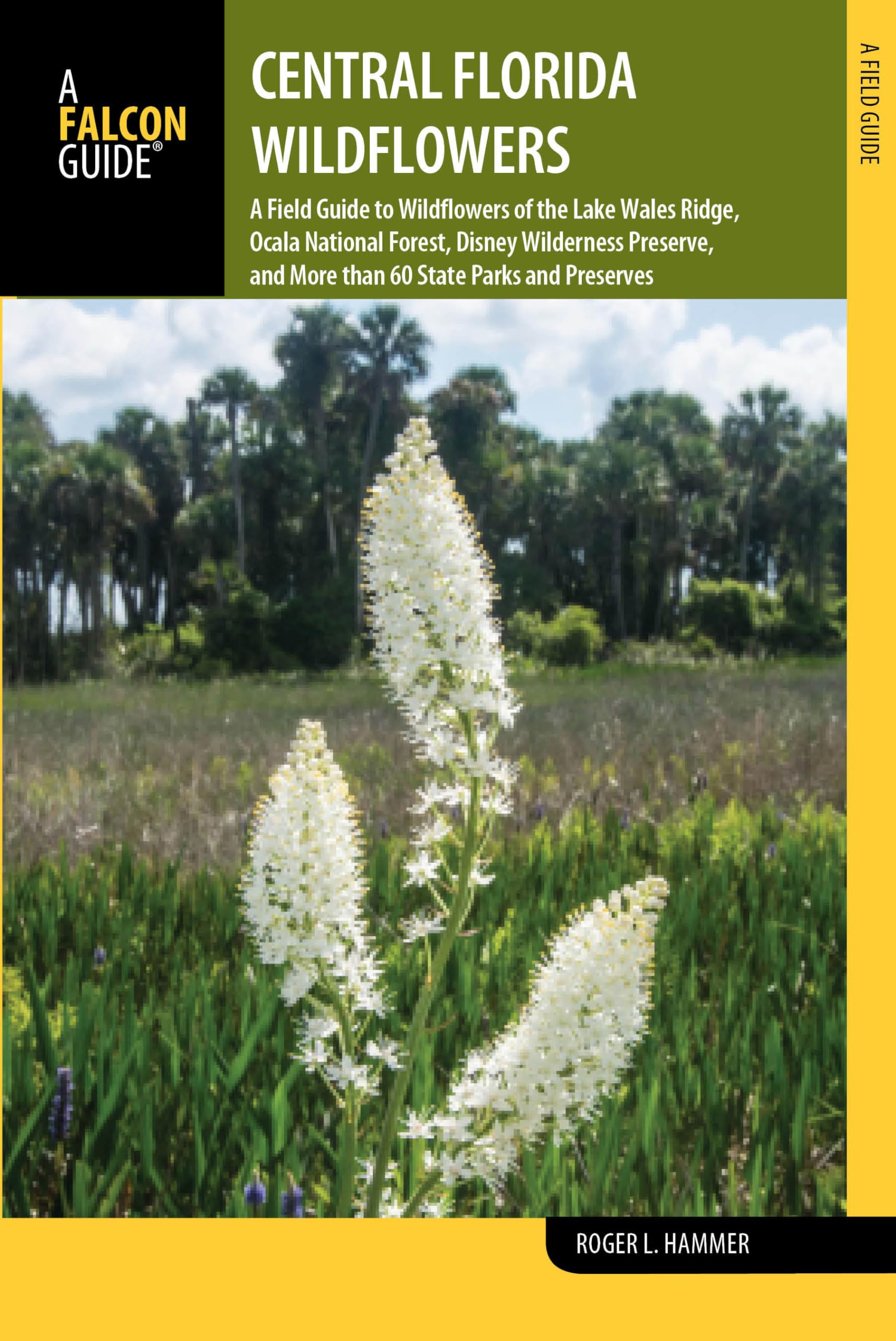 Central Florida Wildflowers: A Field Guide to Wildflowers of the Lake Wales Ridge, Ocala National Forest, Disney Wilderness Pres,Used