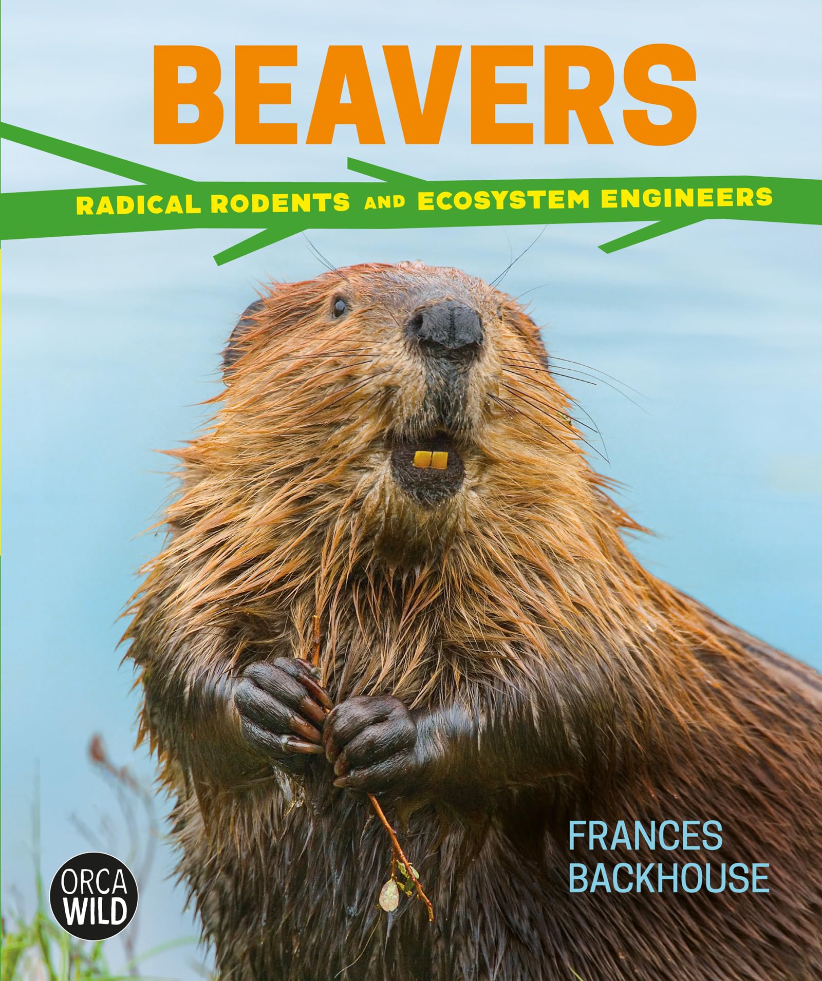 Beavers: Radical Rodents And Ecosystem Engineers (Orca Wild, 6)