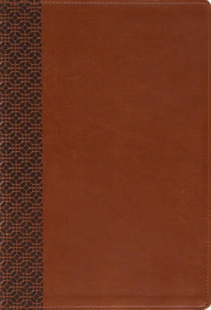 Amplified Holy Bible, Large Print, Leathersoft, Brown: Captures The Full Meaning Behind The Original Greek And Hebrew