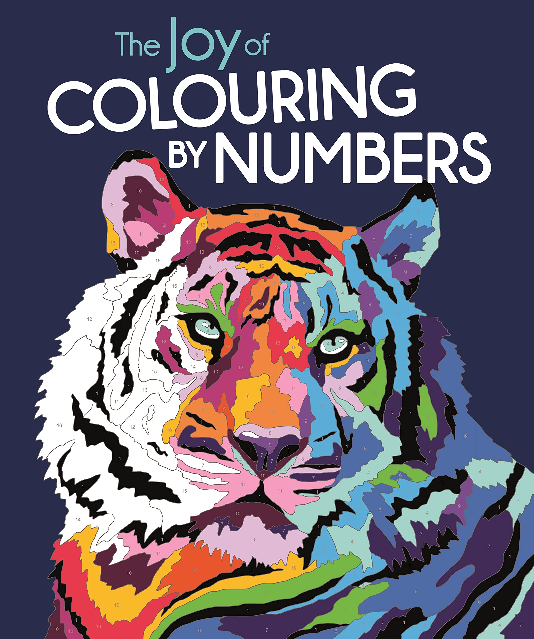 The Joy Of Colouring By Numbers,Used