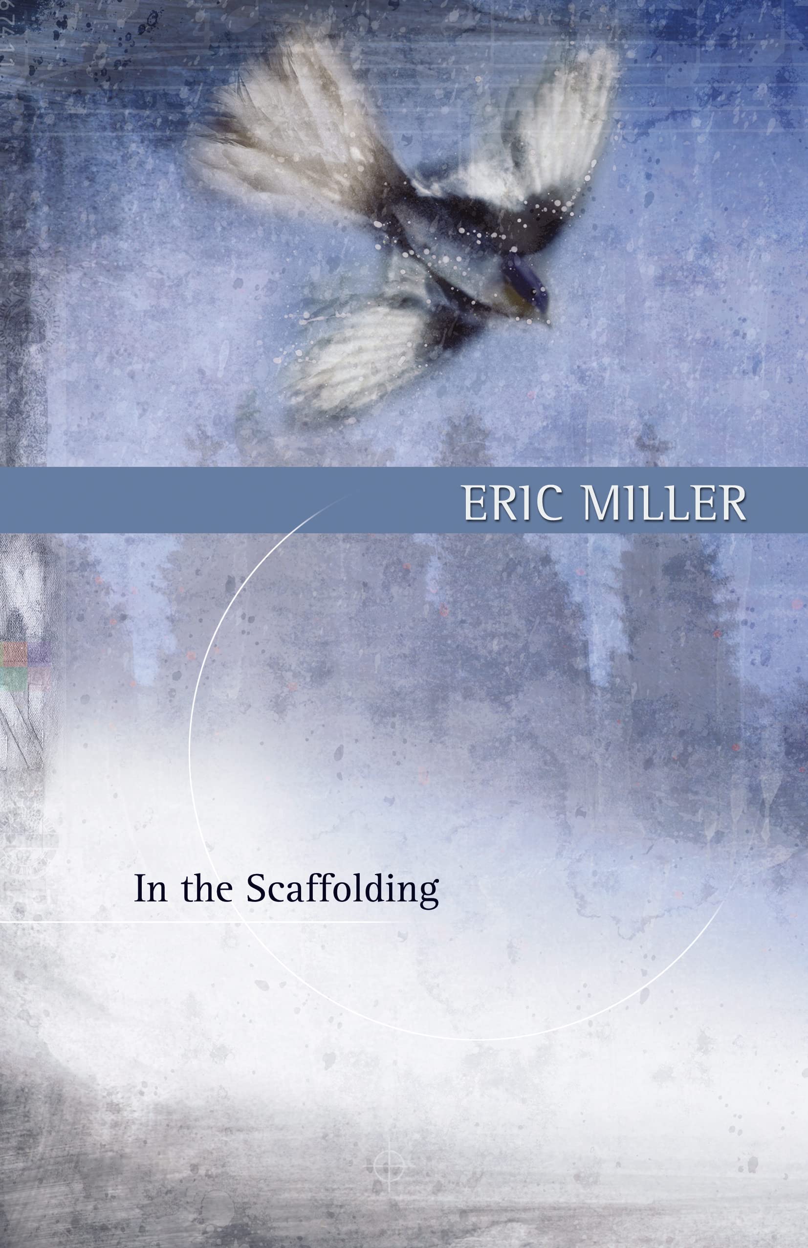 In The Scaffolding (Goose Lane Editions Poetry Books),Used