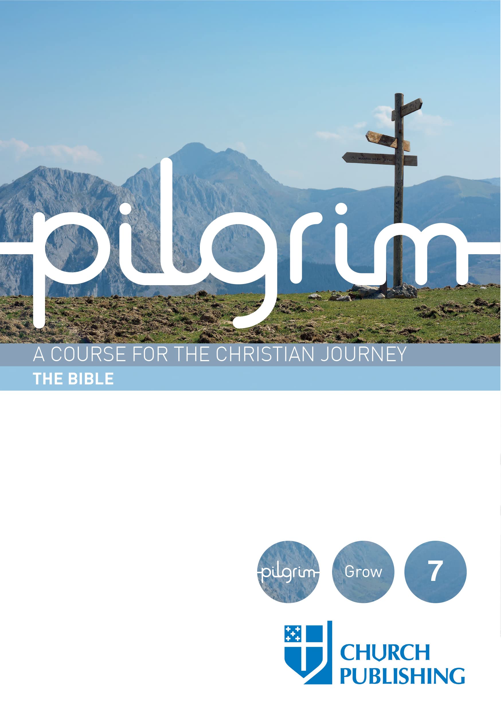 Pilgrim  The Bible: A Course for the Christian Journey,Used