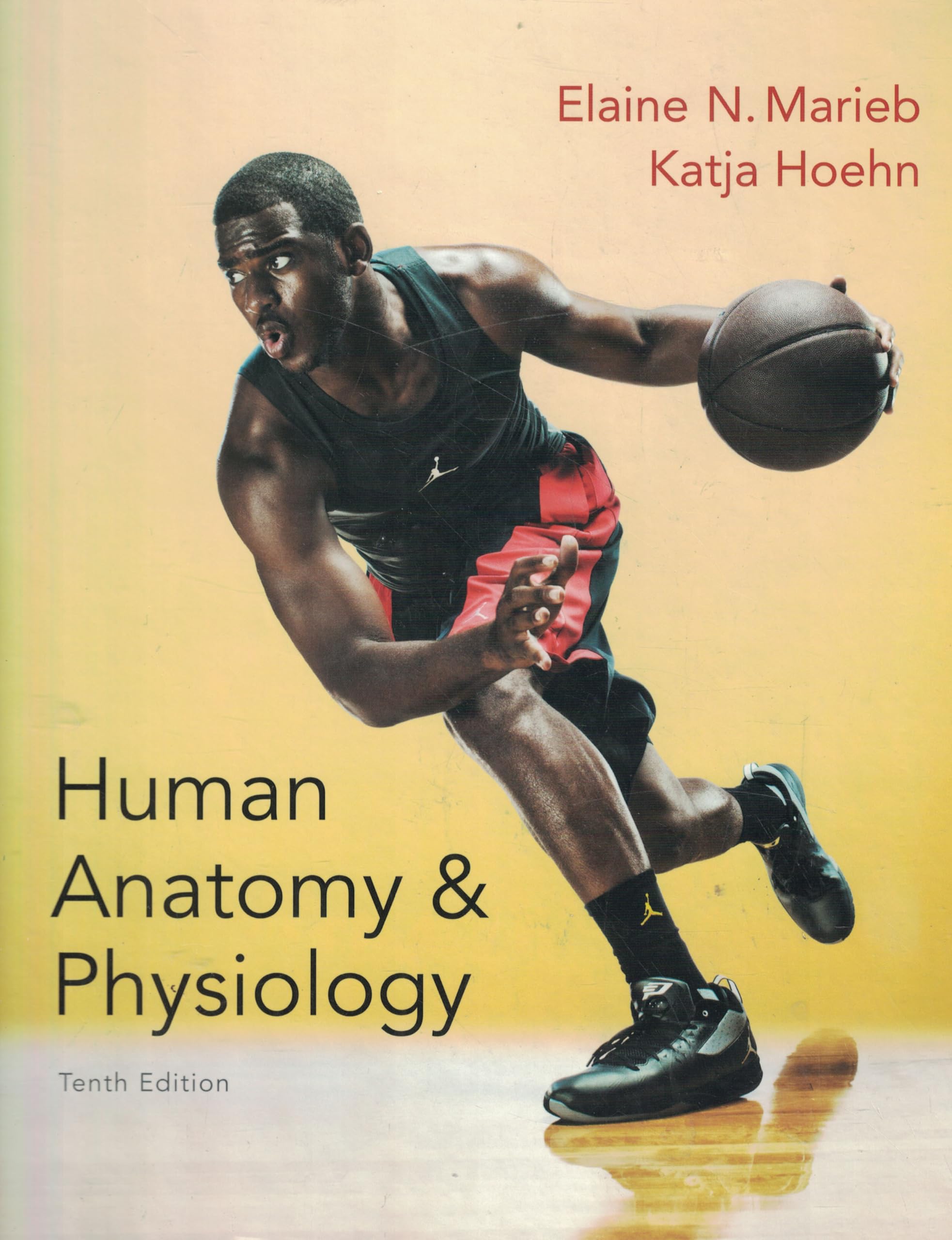 Human Anatomy & Physiology (Marieb, Human Anatomy & Physiology) Standalone Book,Used