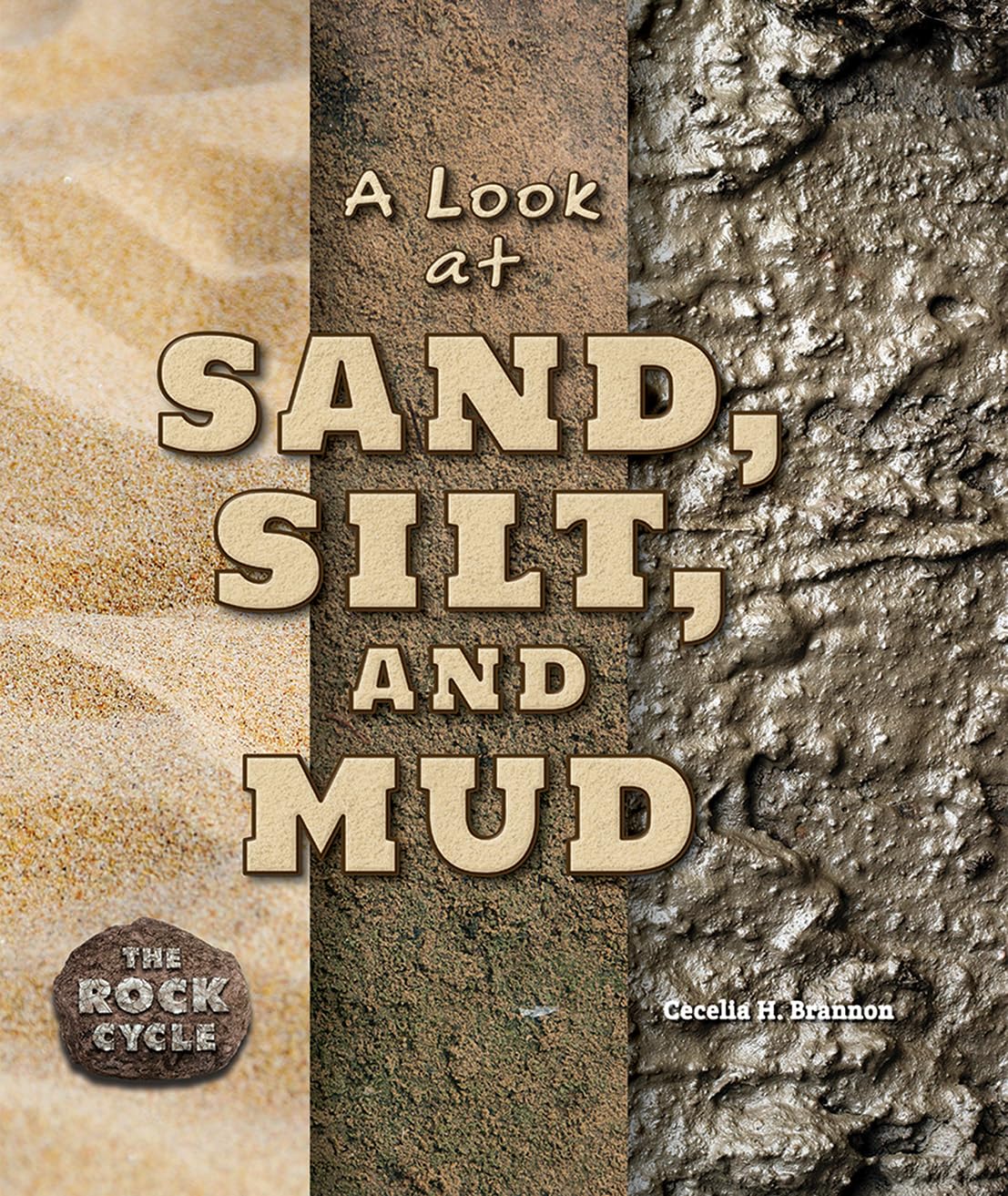 A Look at Sand, Silt, and Mud (The Rock Cycle),Used