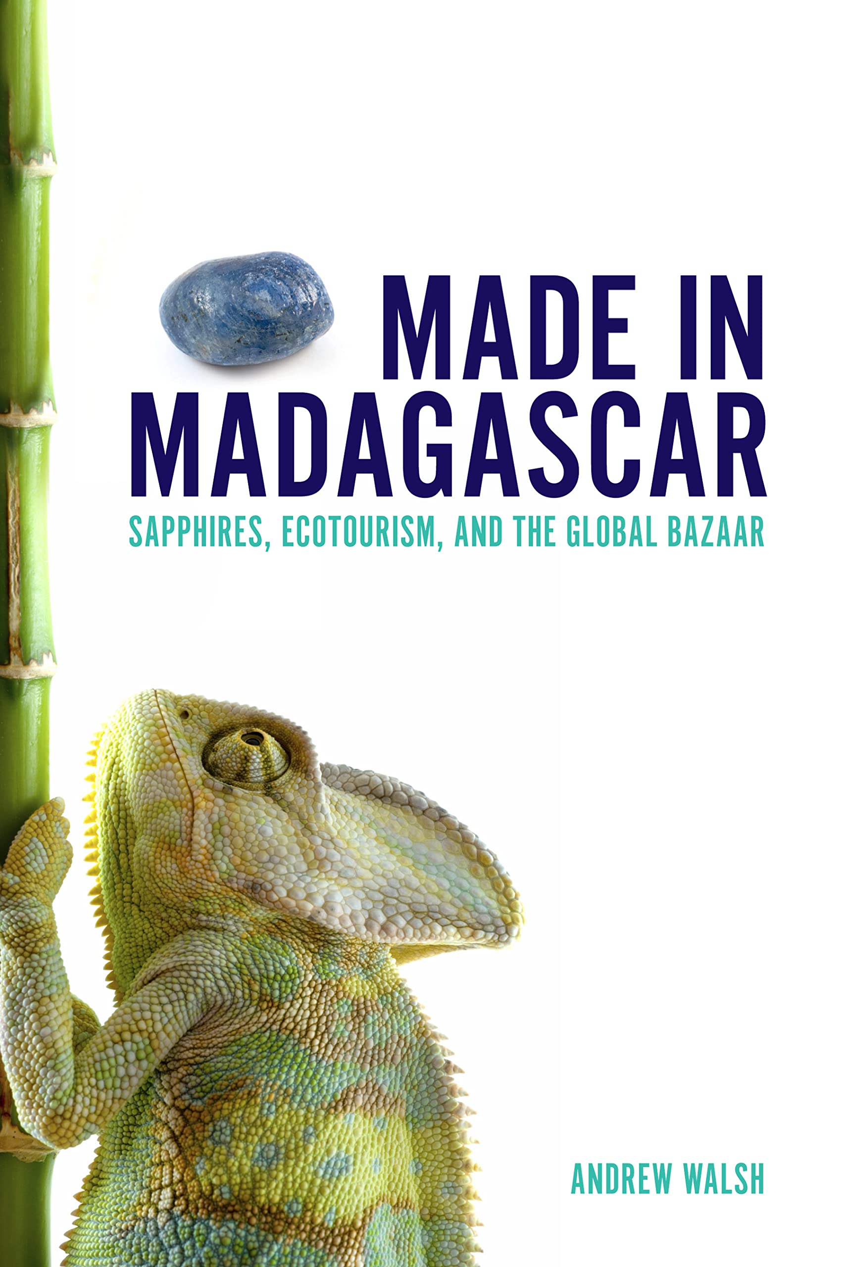Made in Madagascar: Sapphires, Ecotourism, and the Global Bazaar (Teaching Culture: UTP Ethnographies for the Classroom),Used