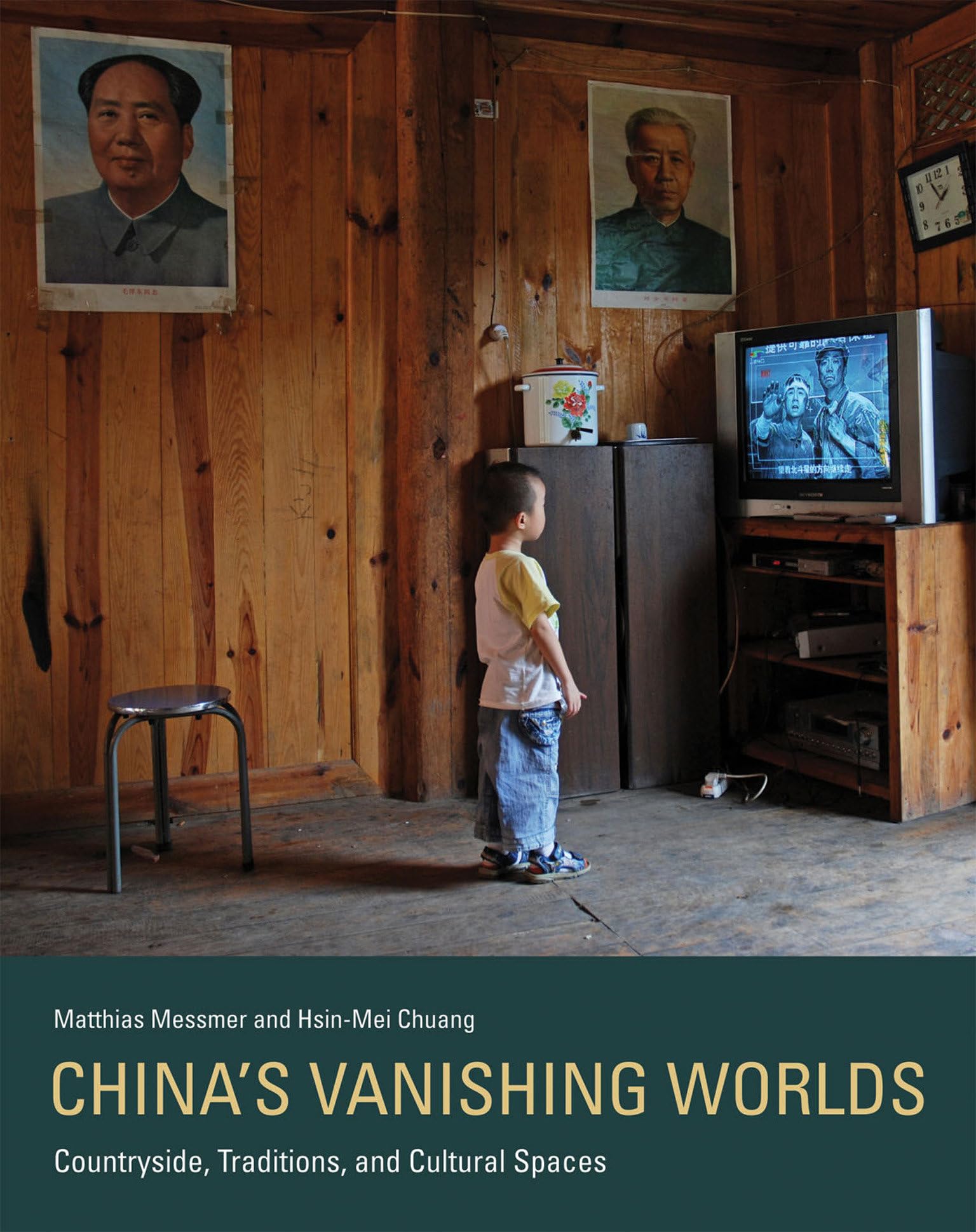China's Vanishing Worlds: Countryside, Traditions, and Cultural Spaces (Mit Press),Used