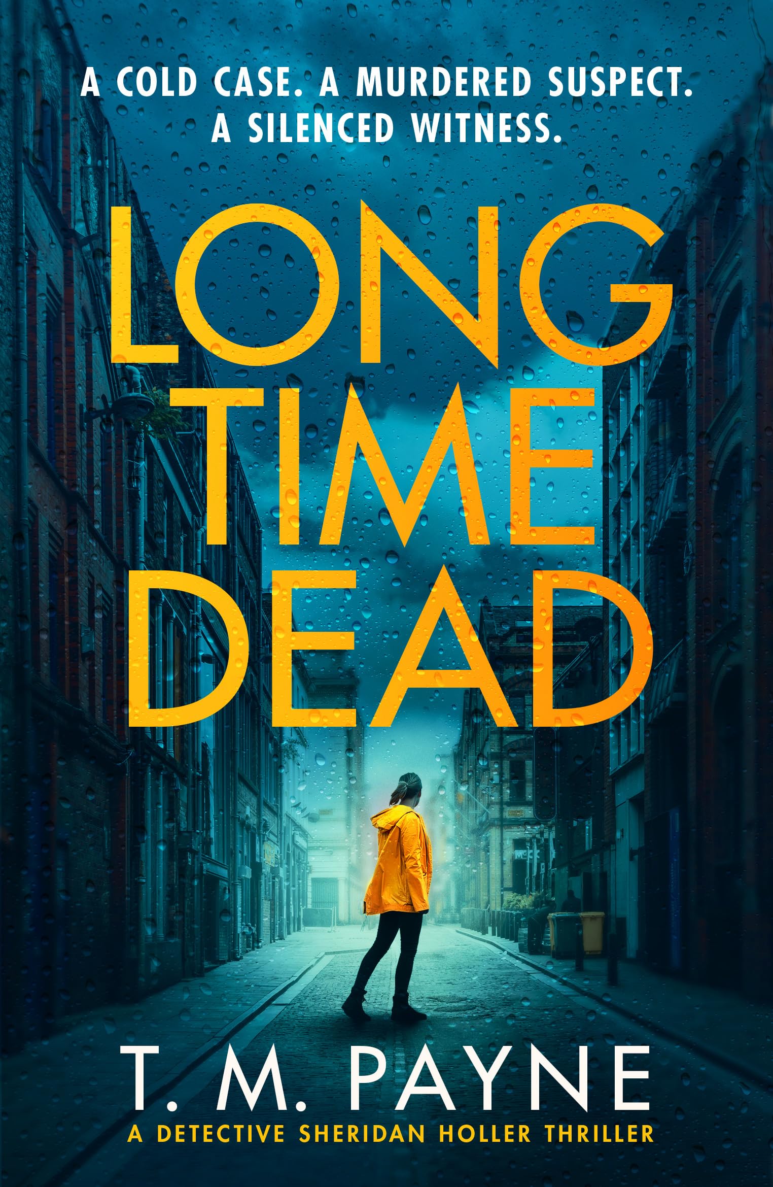 Long Time Dead (Detective Sheridan Holler),New