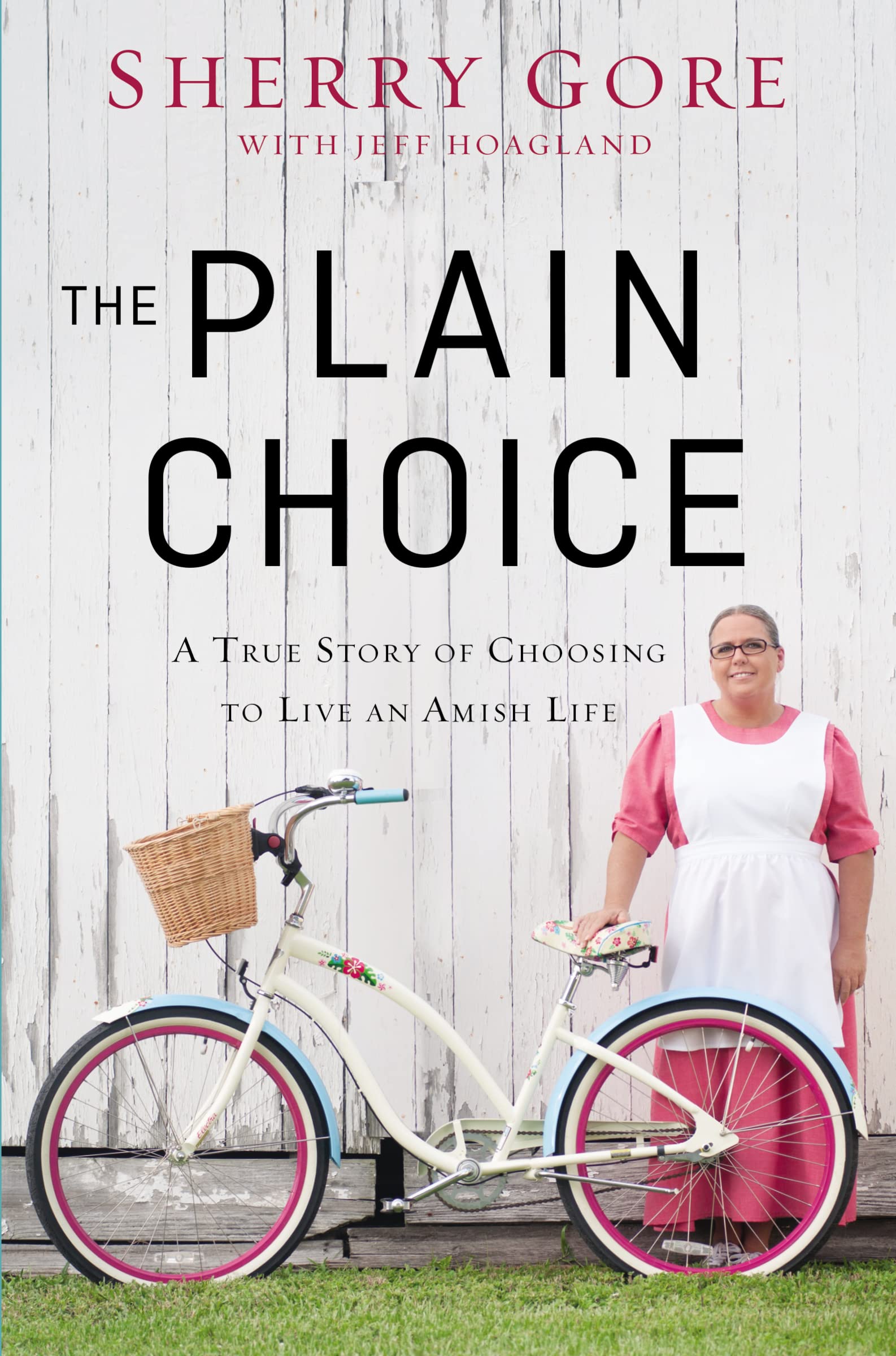 The Plain Choice: A True Story of Choosing to Live an Amish Life,Used