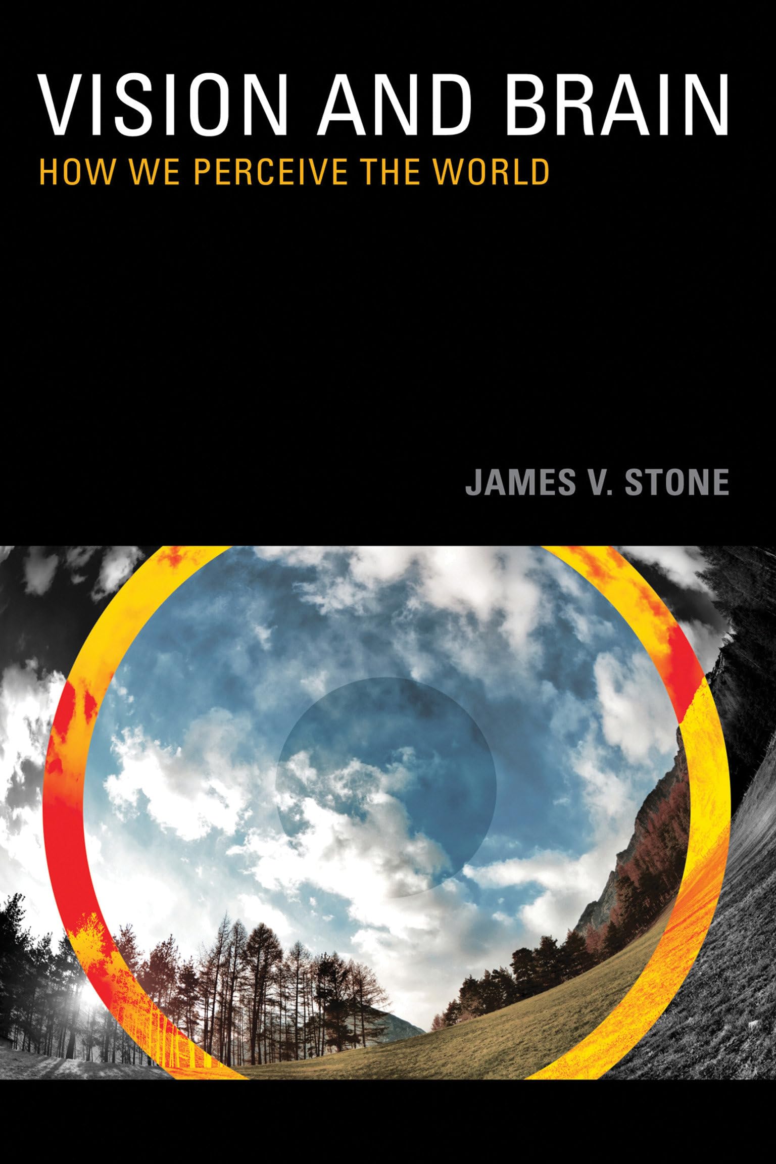 Vision And Brain: How We Perceive The World (Mit Press)