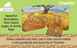 Cheetah (Jane & Me: Jane Goodall Institute Children'S Interactive Liftaflap Board Book)