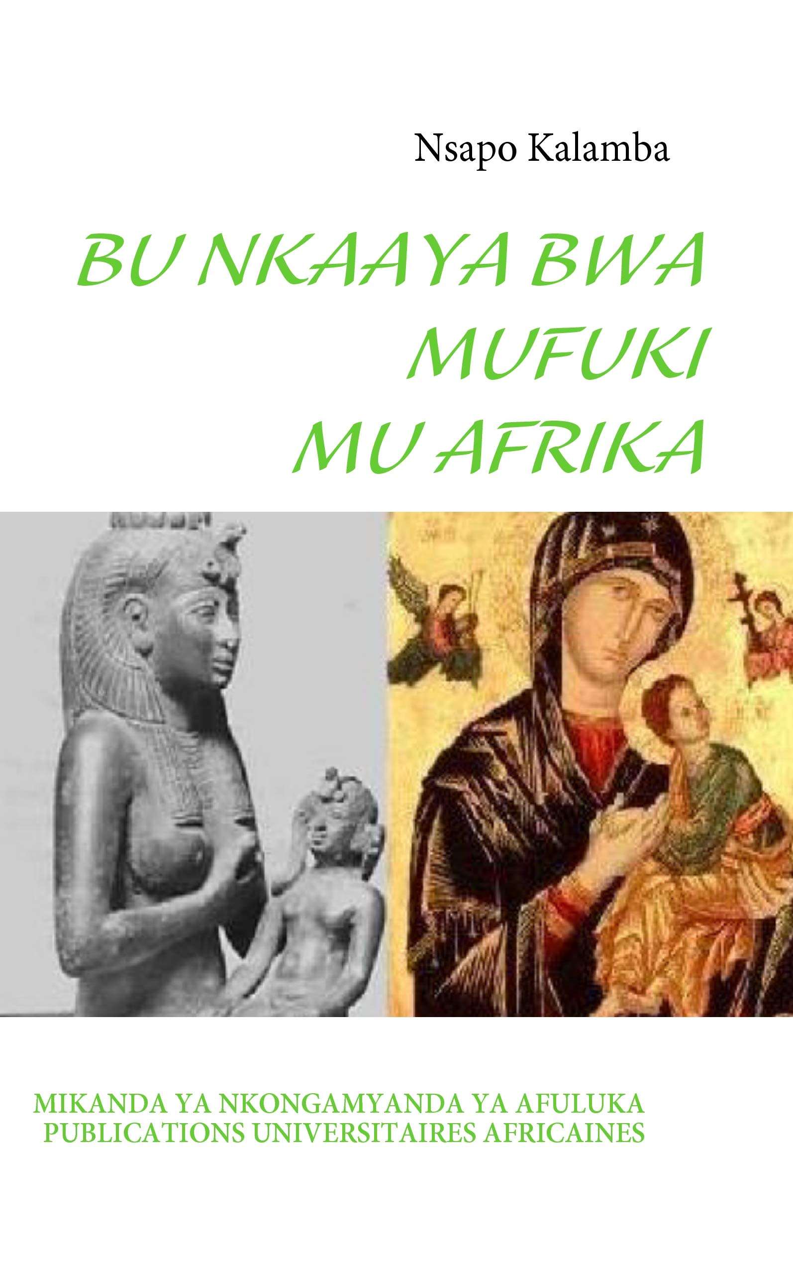 Bu Nkaaya Bwa Mufuki Mu Afrika (French Edition),Used
