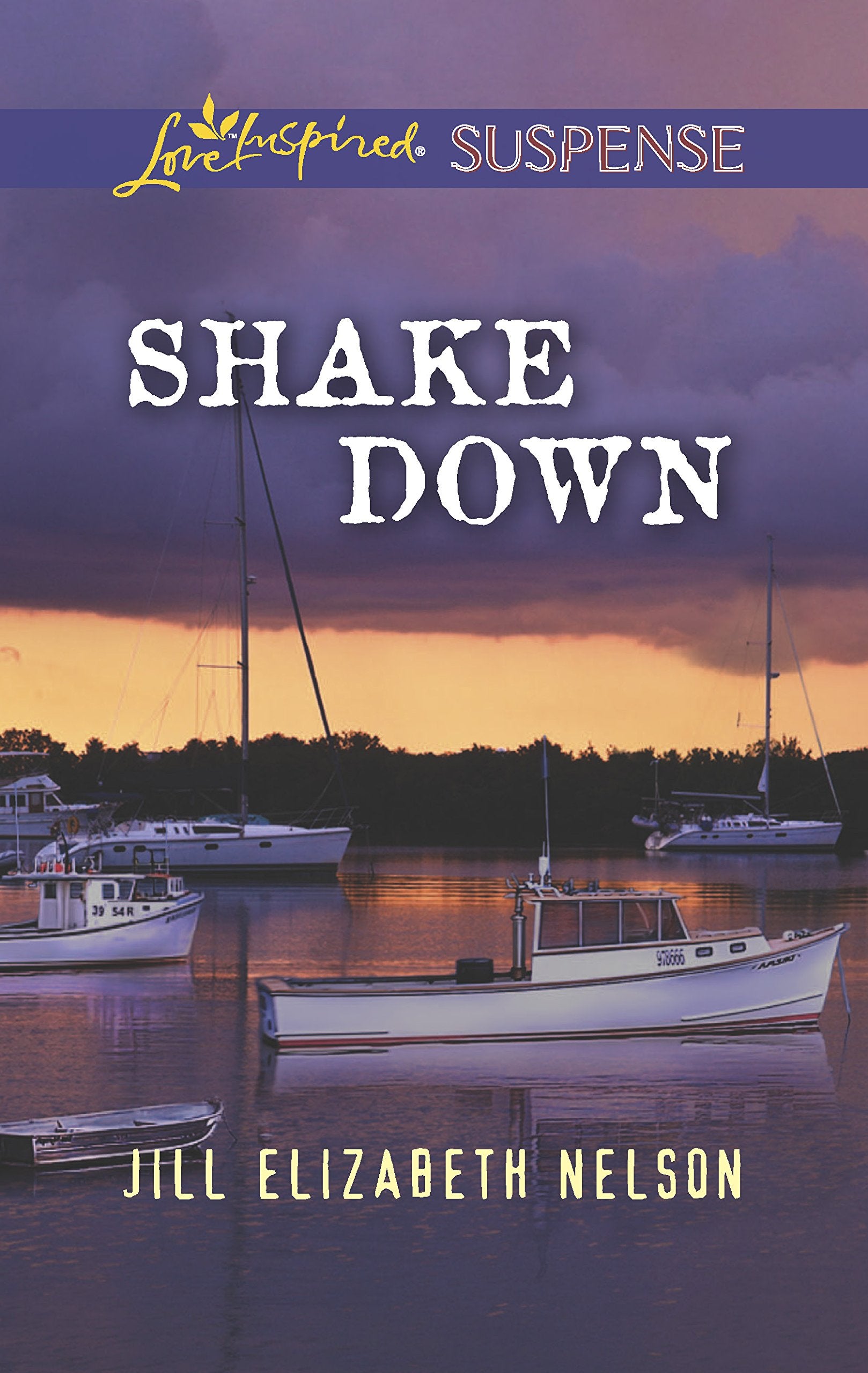 Shake Down (Love Inspired Suspense),Used