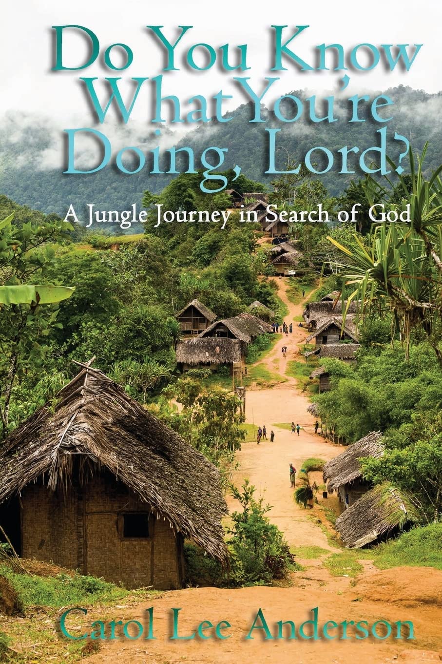 Do You Know What You Are Doing, Lord?: A Jungle Journey in Search of God,Used