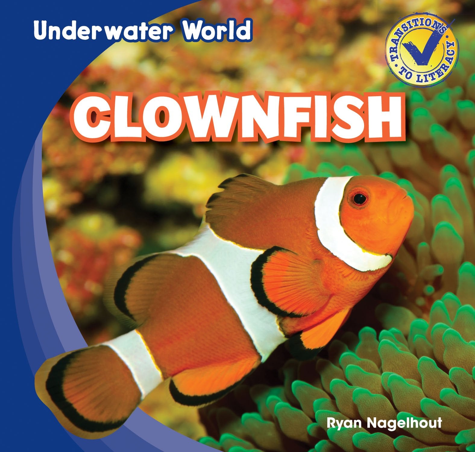 Clownfish (Underwater World),Used