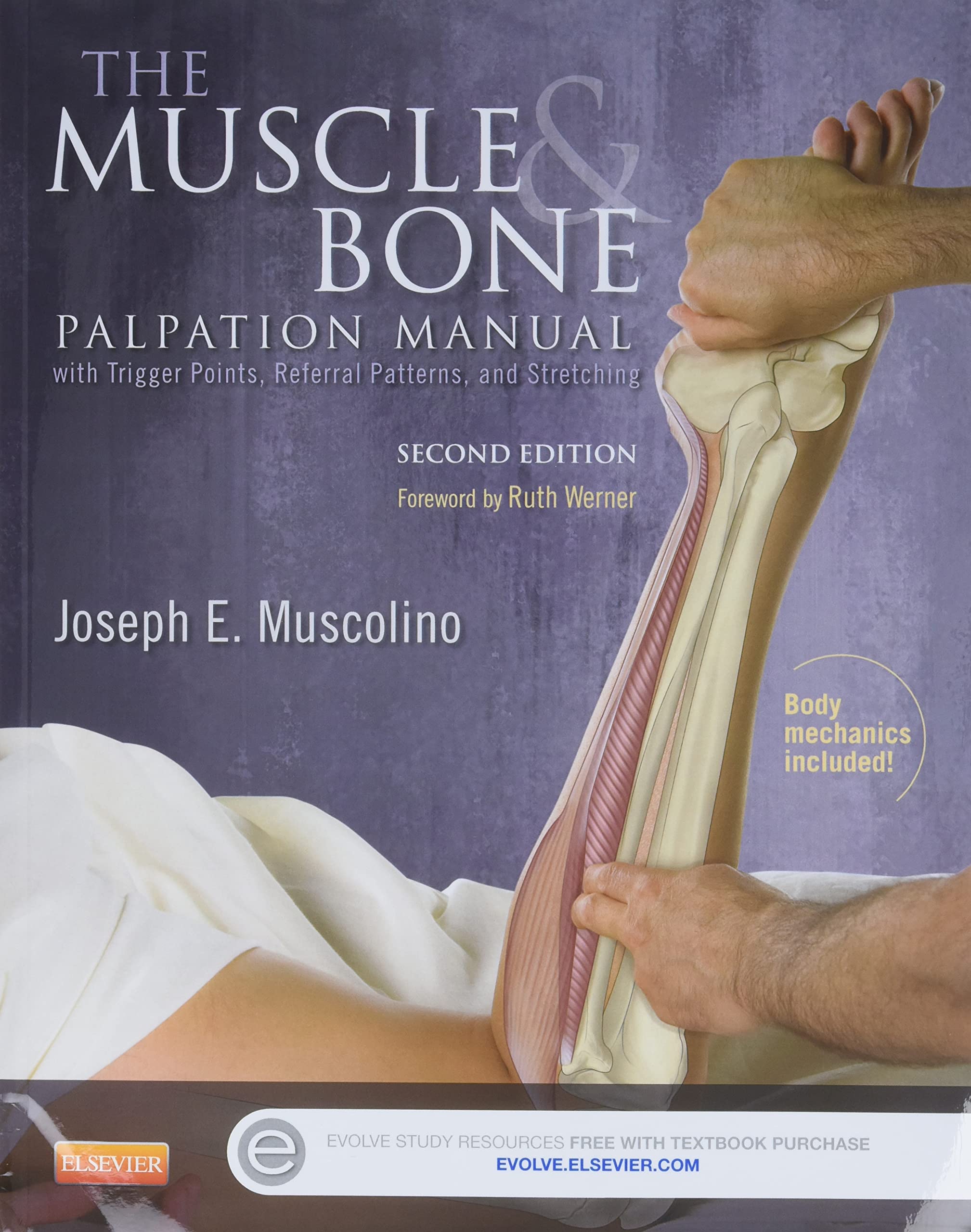 The Muscle And Bone Palpation Manual With Trigger Points, Referral Patterns And