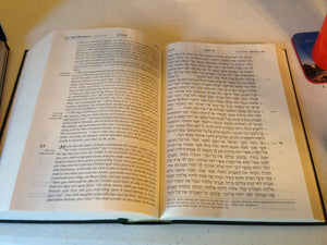 The Stone Edition Tanach  Hunter Green: The Torch  Prophets  Writings: The Twentyfour Books Of The Bible Newly Translated An,Used