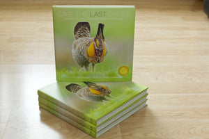 Noppadol Paothong Photography NPP617480 Save the Last Dance,Used