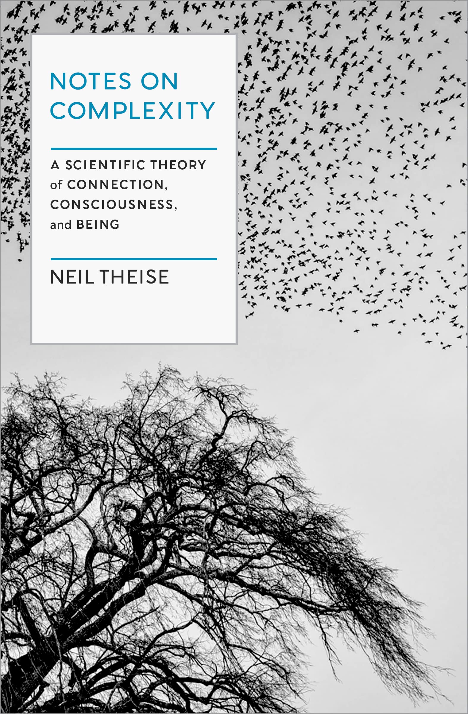 Notes On Complexity: A Scientific Theory Of Connection, Consciousness, And Being,Used