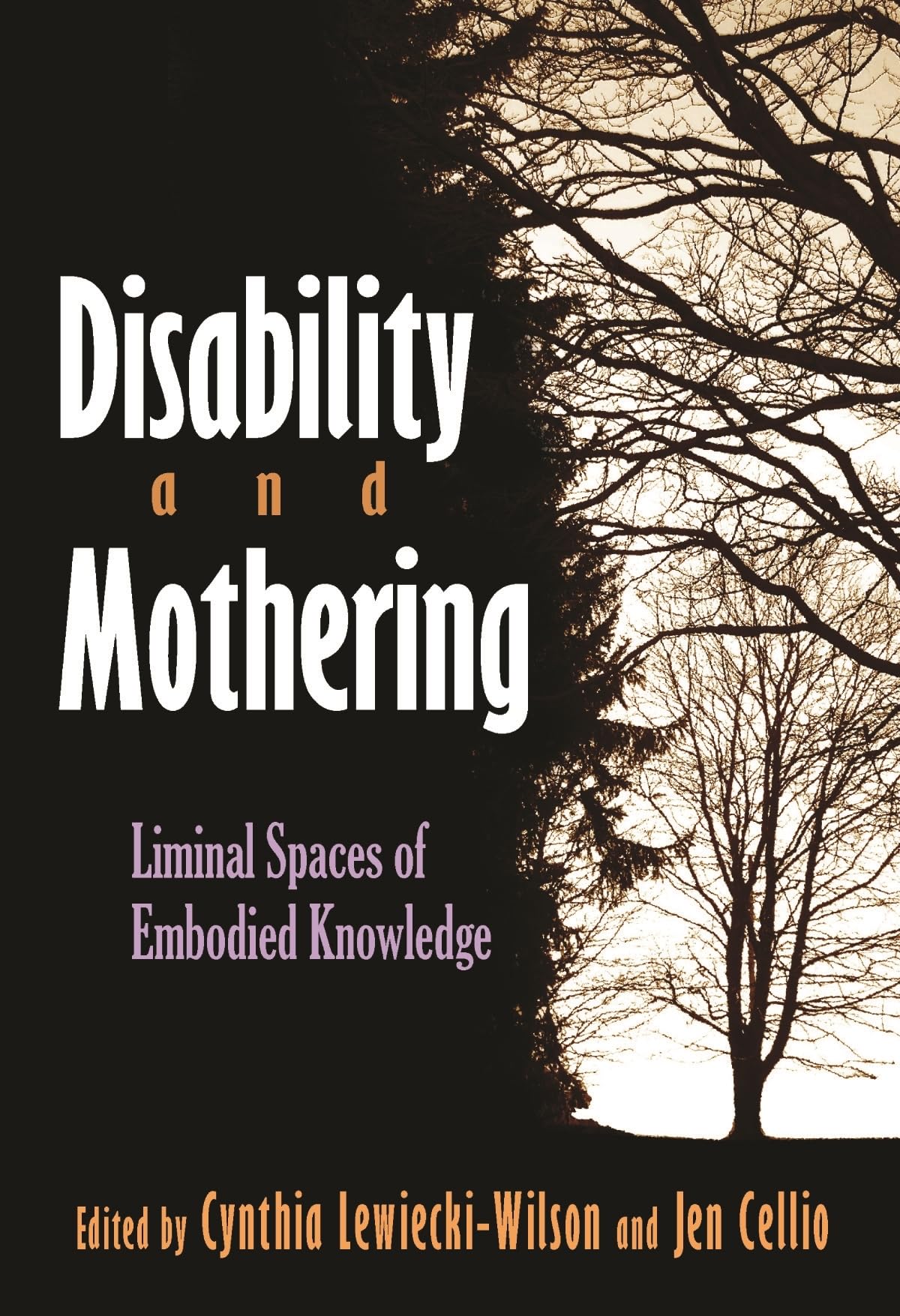 Disability And Mothering: Liminal Spaces Of Embodied Knowledge (Critical Perspectives On Disability),Used