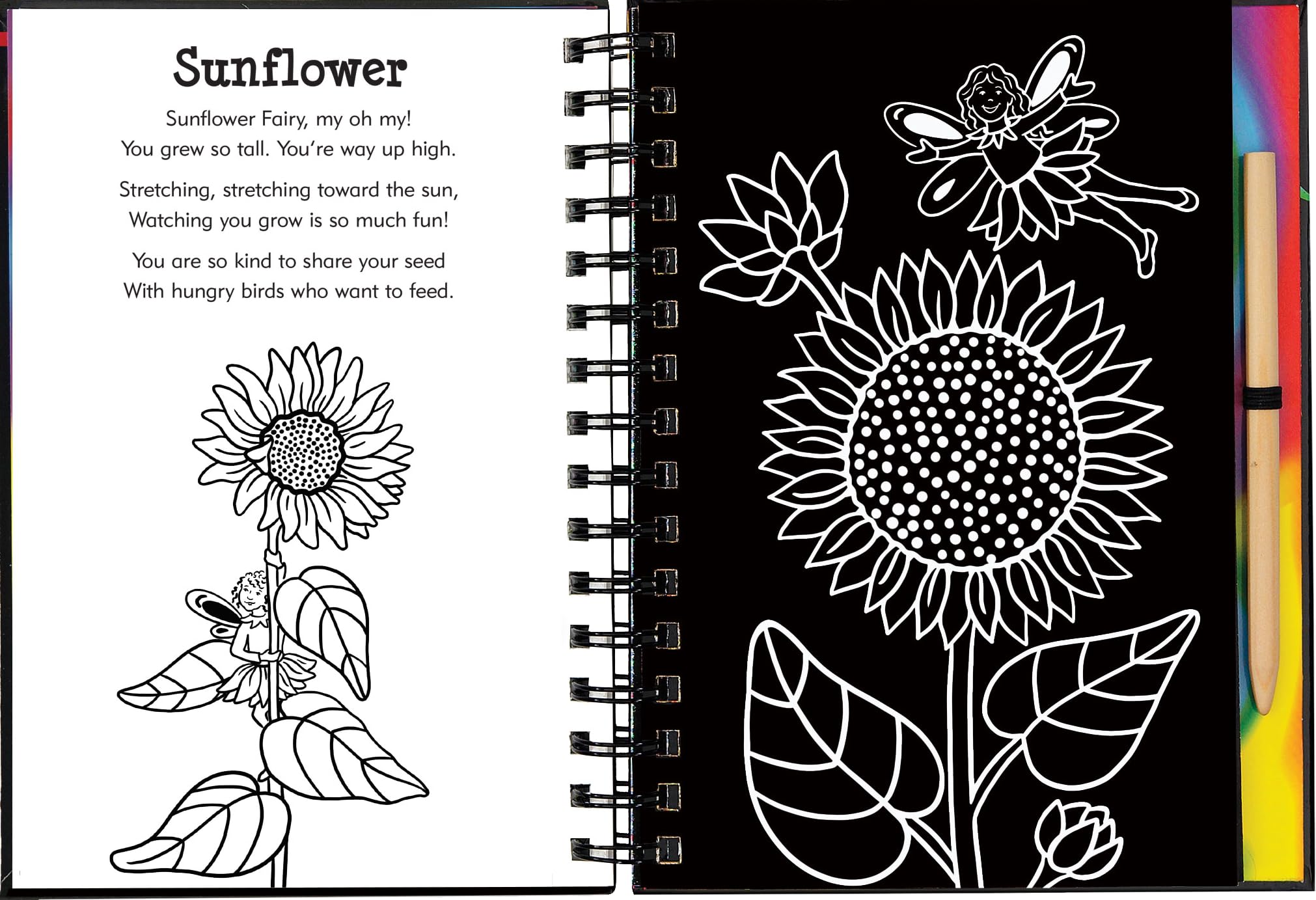 Scratch & Sketch Garden Fairies (Trace Along),Used