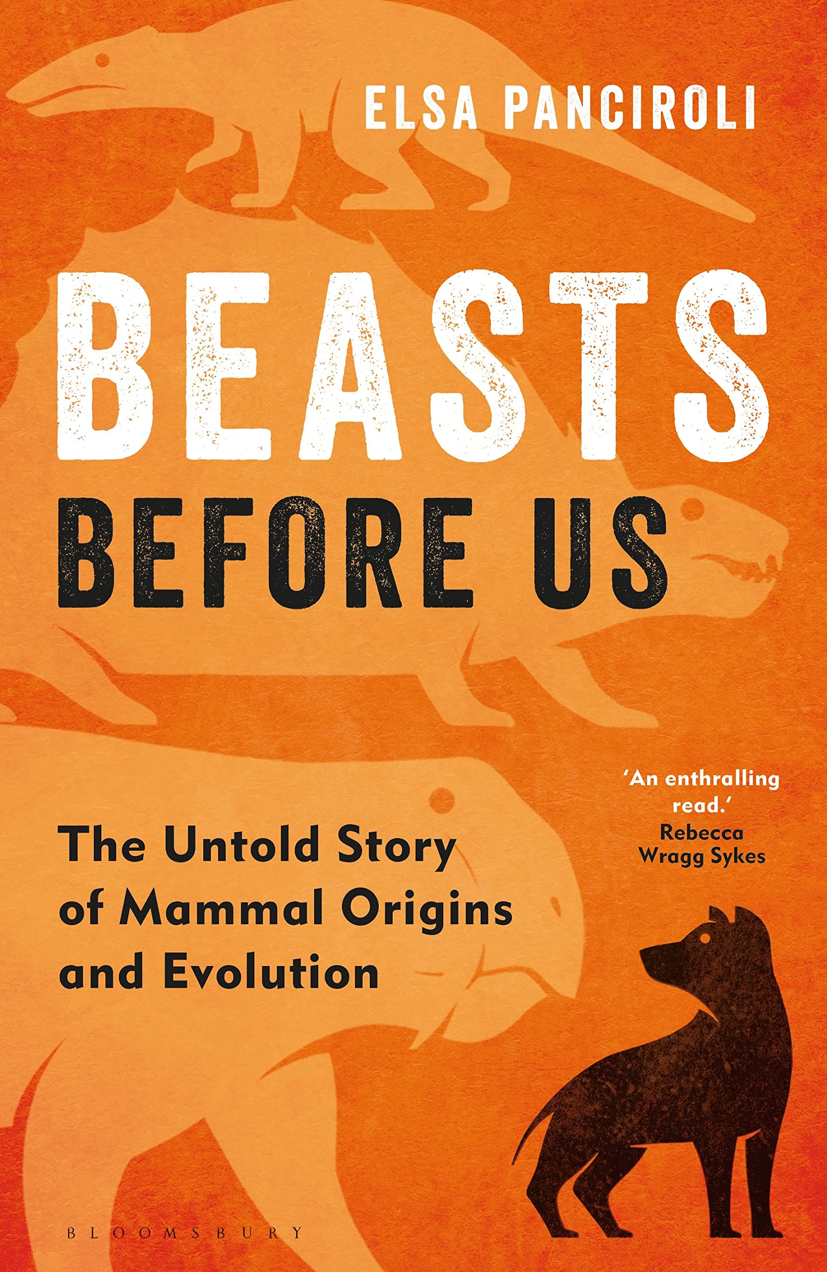 Beasts Before Us: The Untold Story of Mammal Origins and Evolution,Used