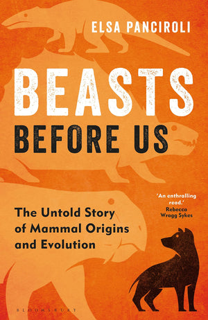 Beasts Before Us: The Untold Story of Mammal Origins and Evolution,Used