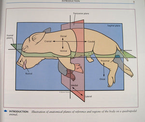 Dissection Guide And Atlas For The Fetal Pig,Used