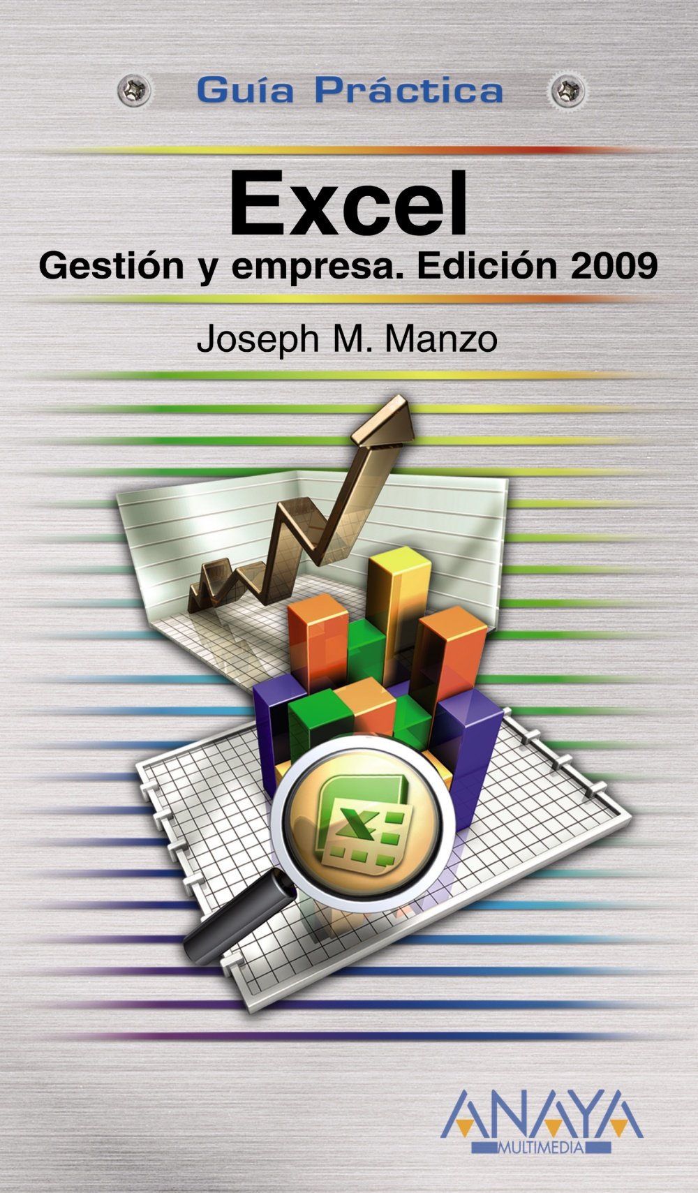 Excel. Gestin Y Empresa. Edicin 2009 (Guia Practica/ Practical Guide) (Spanish Edition)
