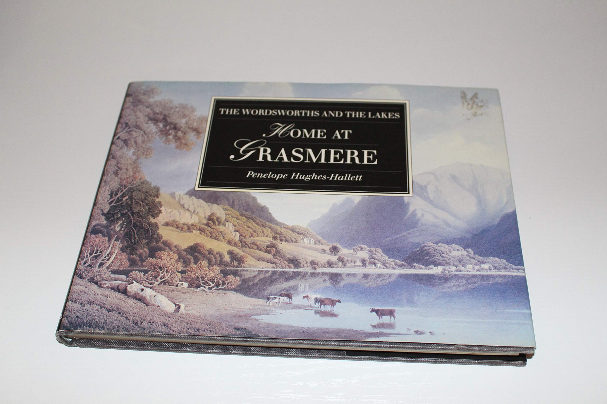 Home at Grasmere: The Wordsworths and the Lakes,Used