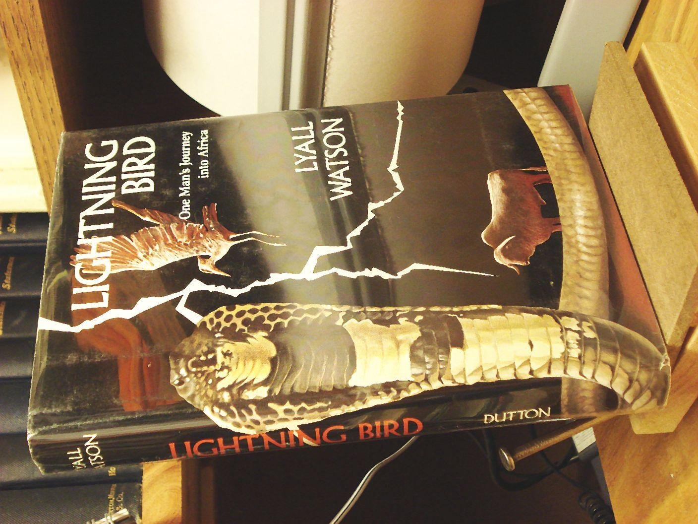 Lightning Bird: One Man's Journey into Africa,Used