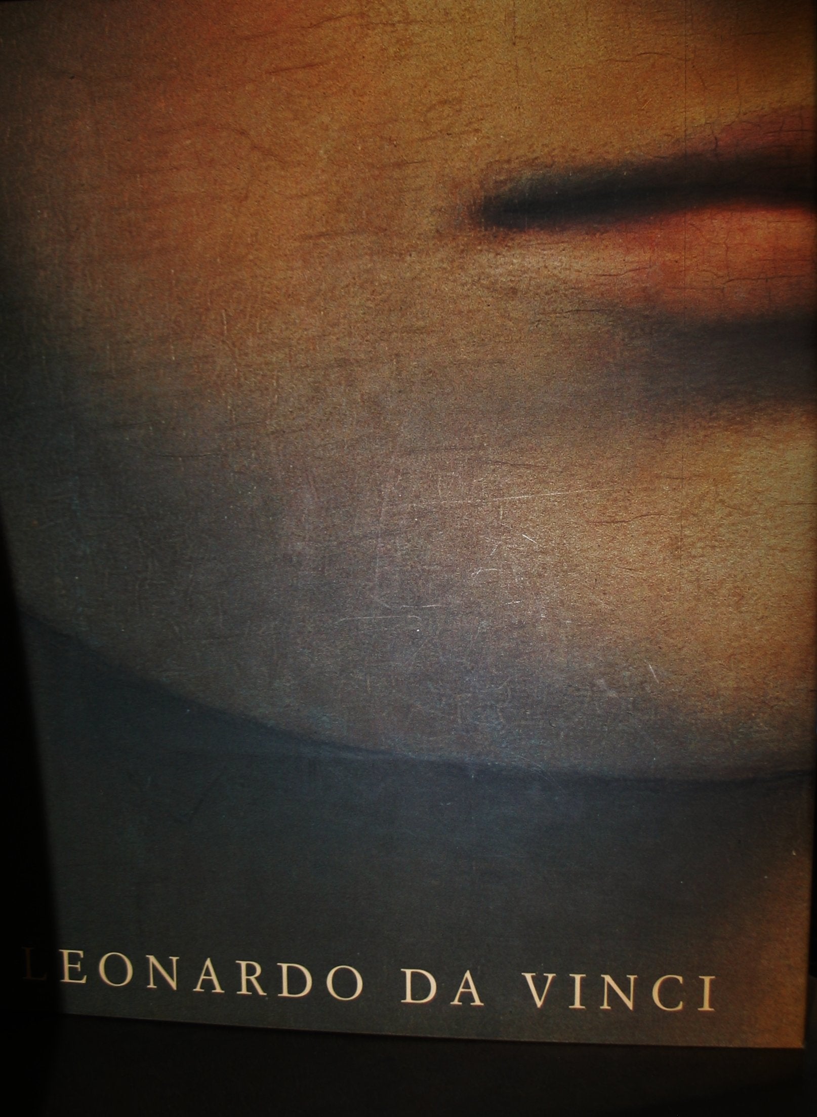 Leonardo da Vinci: The Complete Paintings,Used