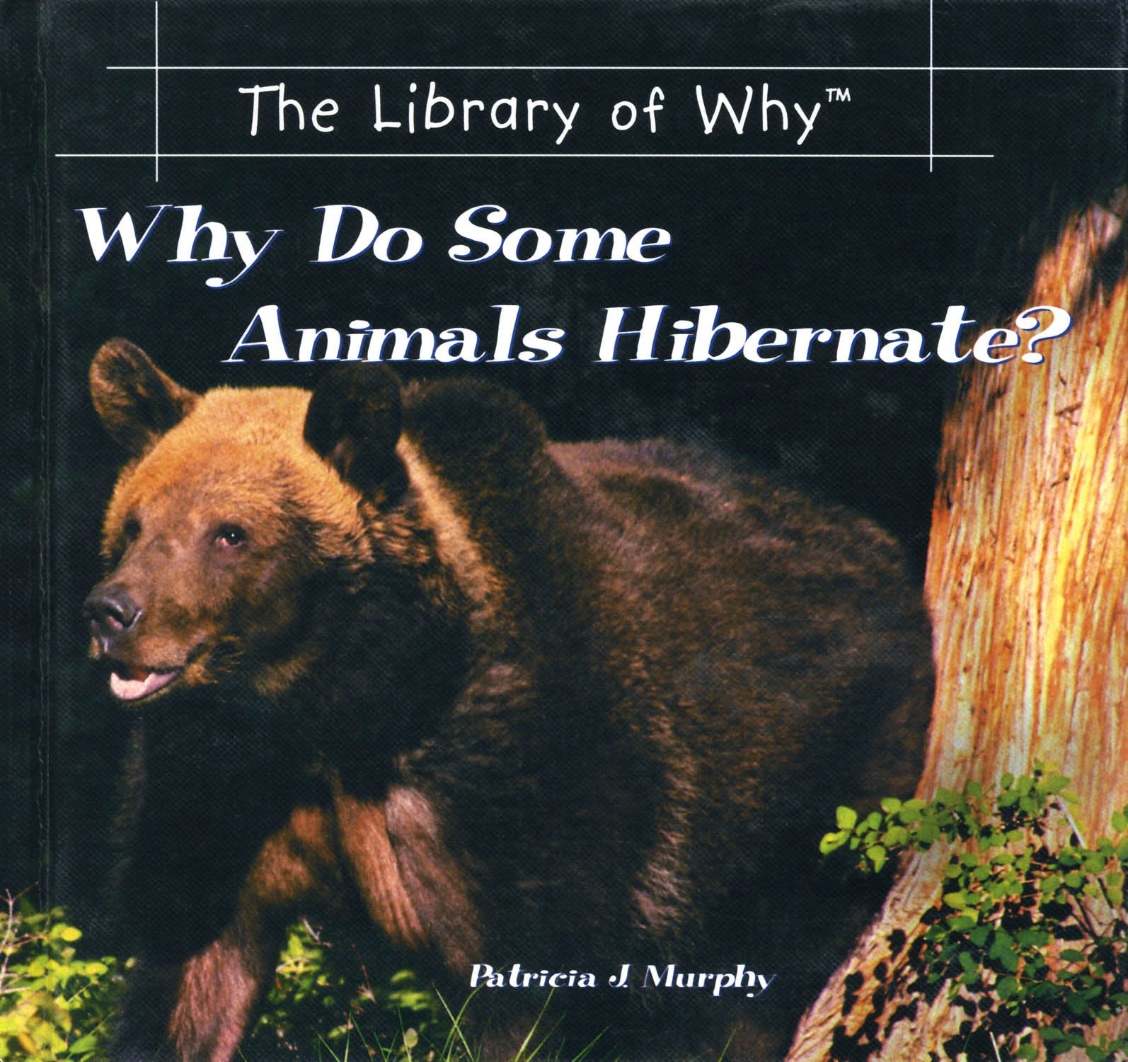 Why Do Some Animals Hibernate? (The Library of Why),Used