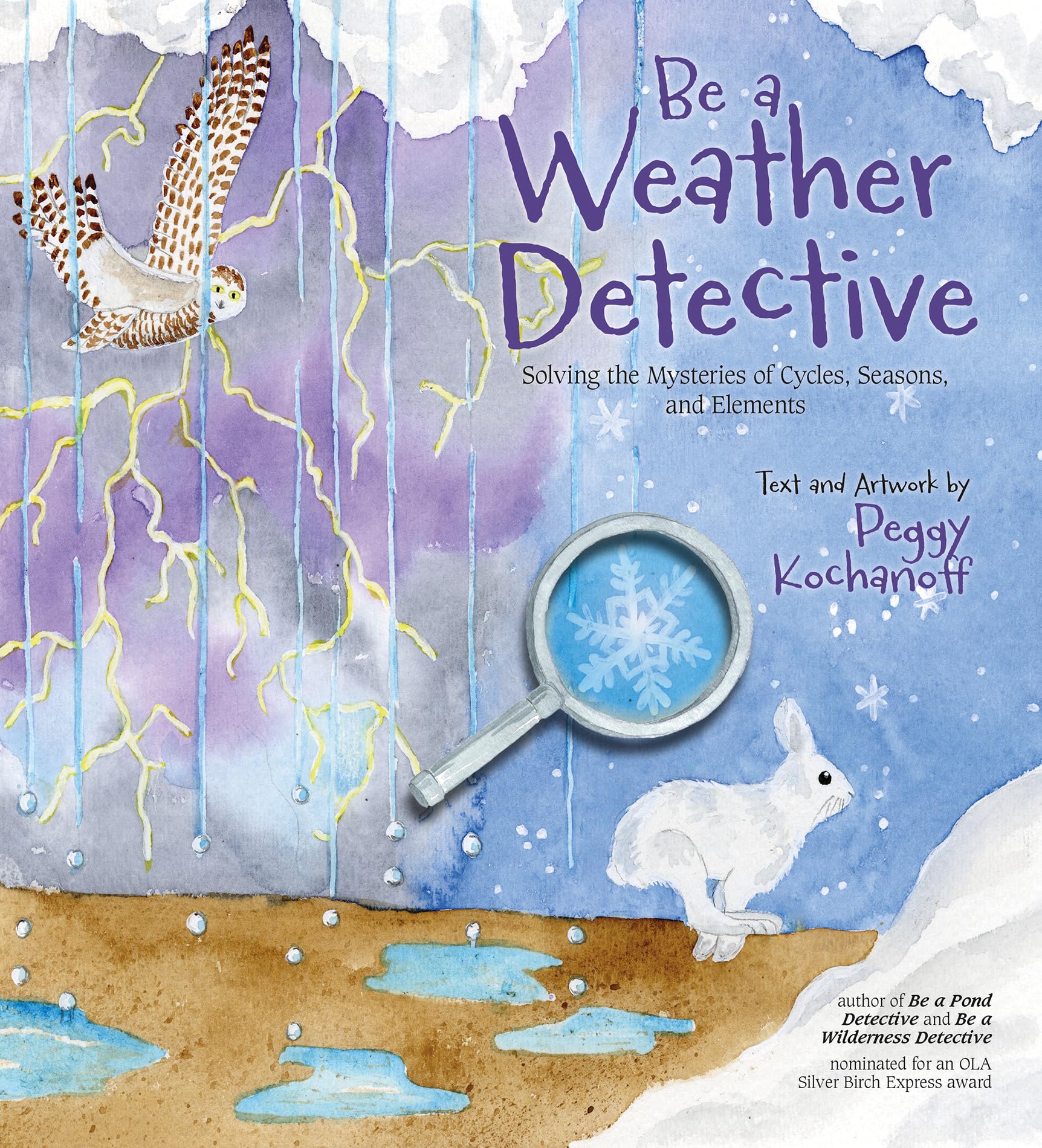 Be a Weather Detective: Solving the Mysteries of Cycles, Seasons, and Elements (Be a Nature Detective),Used