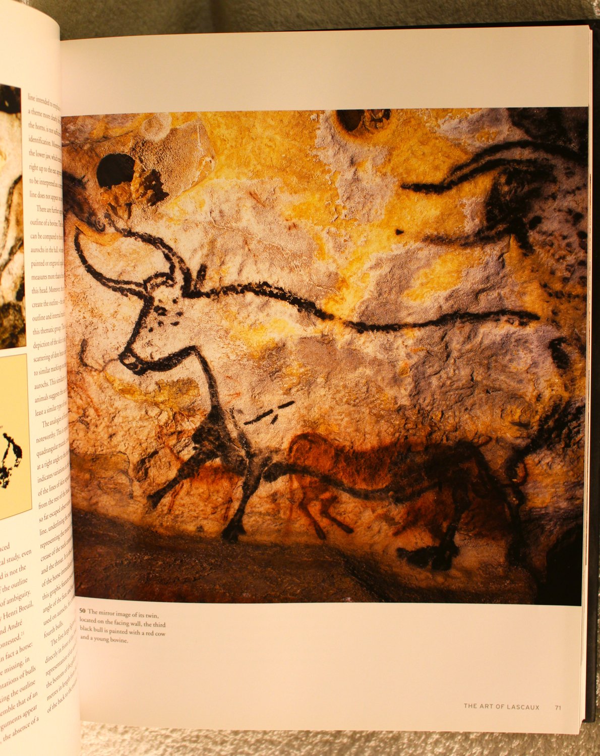 Lascaux: Movement, Space And Time