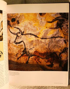 Lascaux: Movement, Space And Time