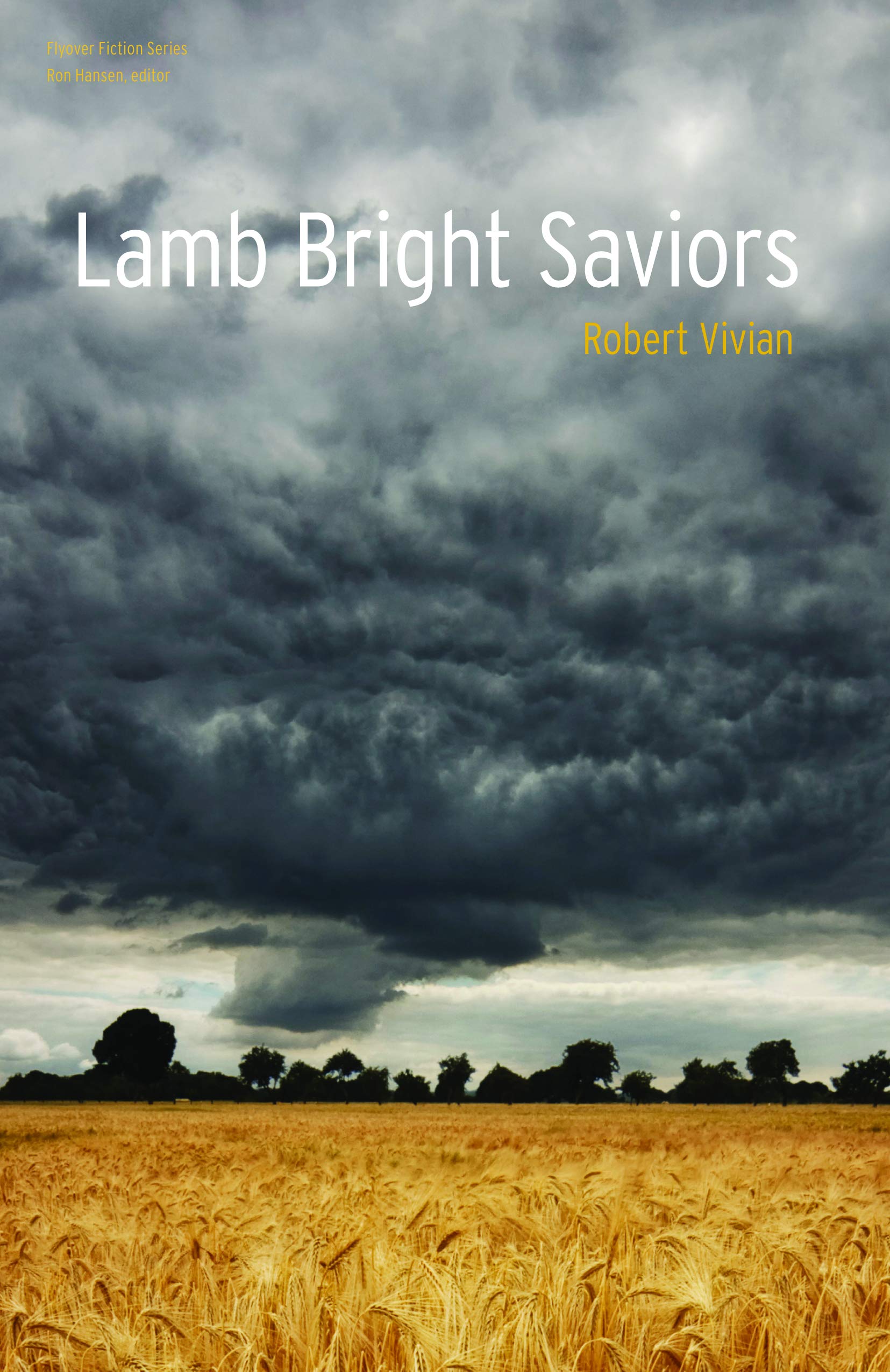 Lamb Bright Saviors (Flyover Fiction),Used