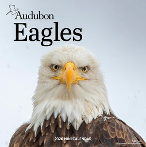 Cal 26 Audubon Eagles